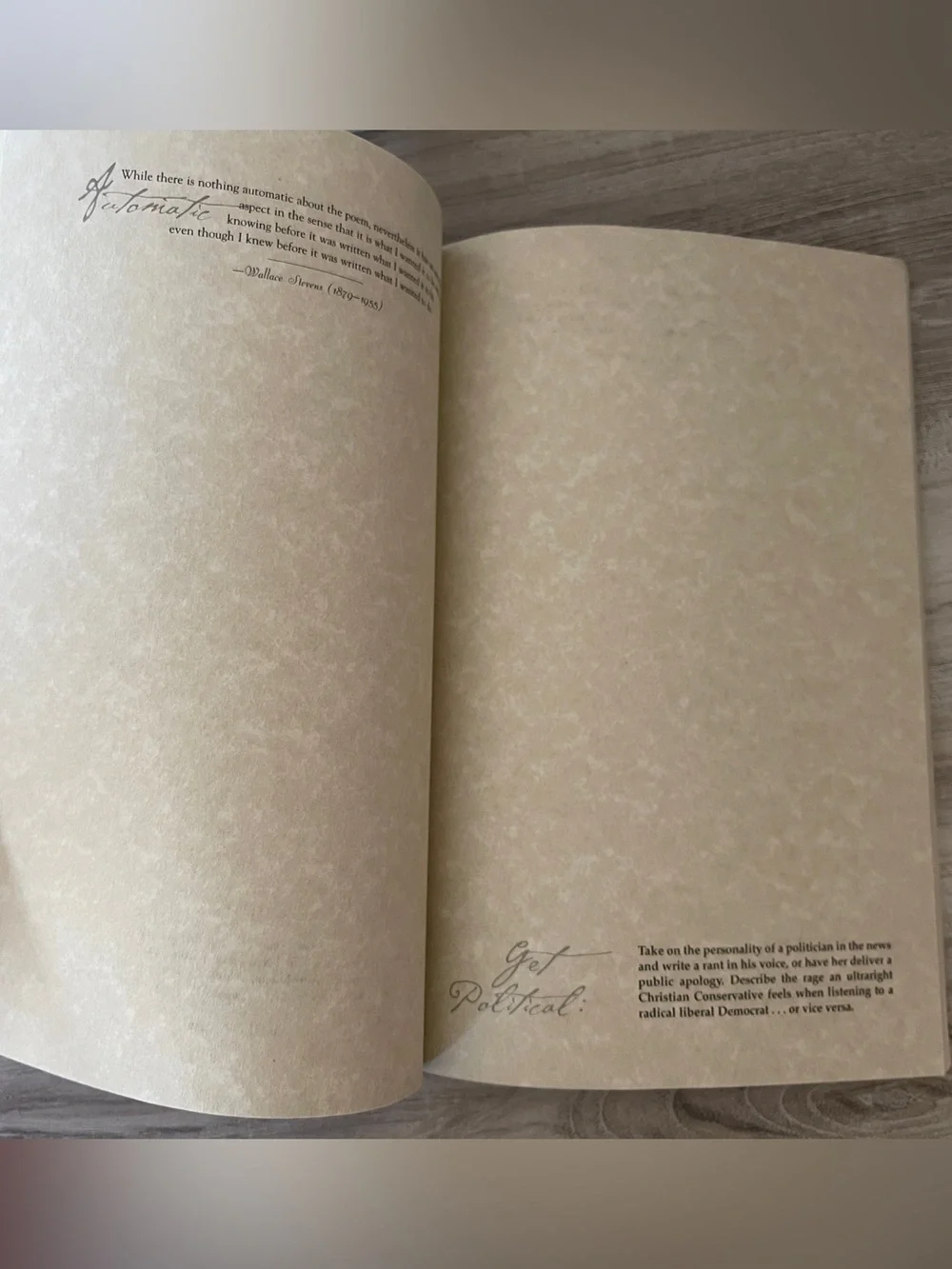 The Poets Notebook by David Stanford Burr 2000